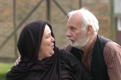 Fiddler28