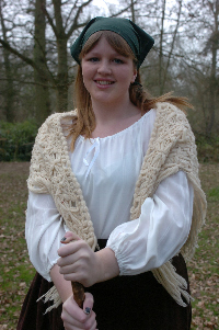 Fiddler12